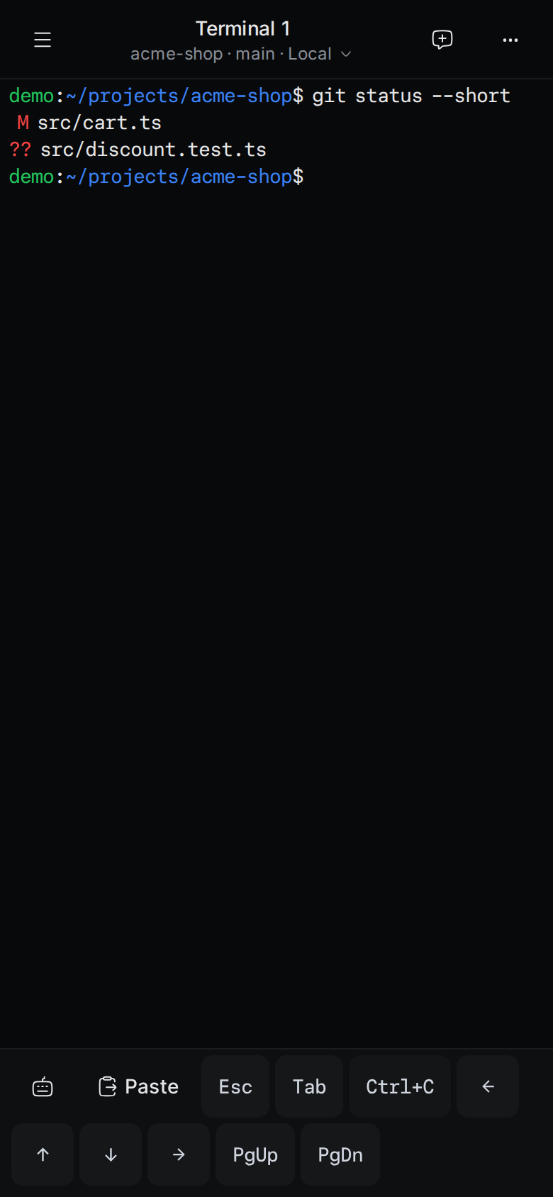 A terminal on a phone with the key bar at the bottom: Paste, Esc, Tab, Ctrl+C, the arrow keys, PgUp and PgDn